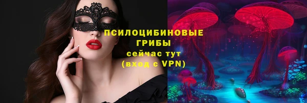 прущий лед Арсеньев